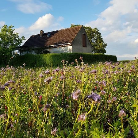 Ferienhaus Gransee Unmittelbar Am Stechlinsee - Radweg Eksteriør bilde